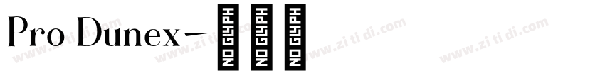 Pro Dunex字体转换